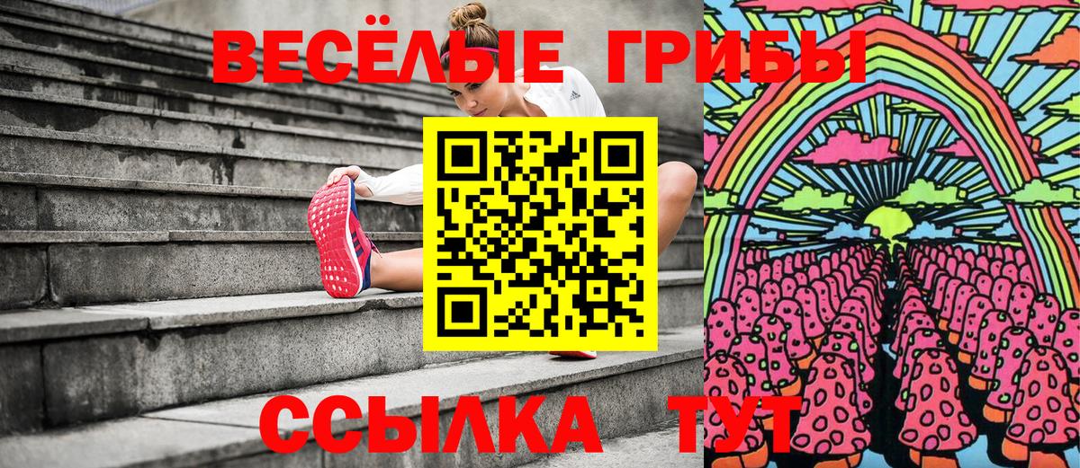 Псилоцибиновые грибы мухоморы  Псилоцибиновые грибы GOLDEN TEACHER  Котельники  Вход с VPN 