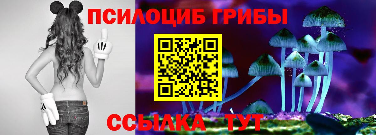 Псилоцибиновые грибы Cubensis Котельники